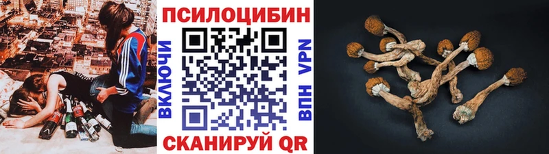 Псилоцибиновые грибы Cubensis  Оленегорск 